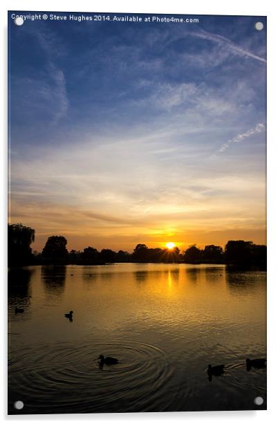  Bushy Park Sunset Acrylic by Steve Hughes