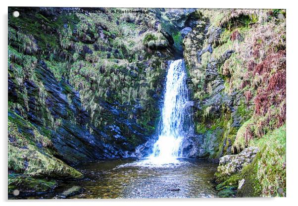  The Fairytale glen of Pistyll Rhaeadr Waterfall Acrylic by Judith Lightfoot