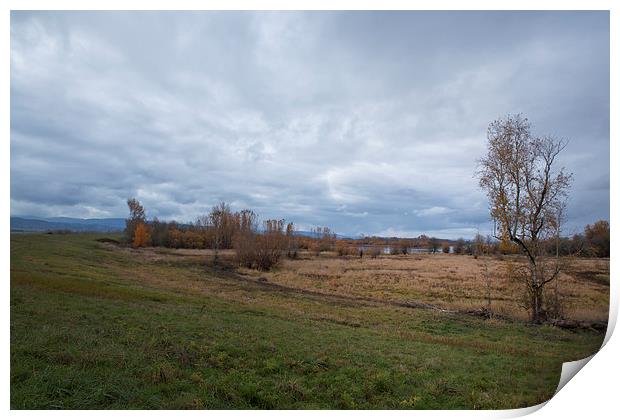  Refuge 2 Print by Belinda Greb