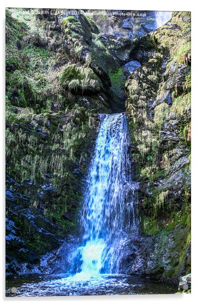 The Fairytale glen of Pistyll Rhaeadr Waterfall 2 Acrylic by Judith Lightfoot