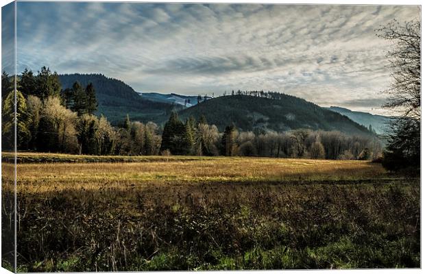 Sky - Field - Light and Trees - Some Here Some Gon Canvas Print by Belinda Greb