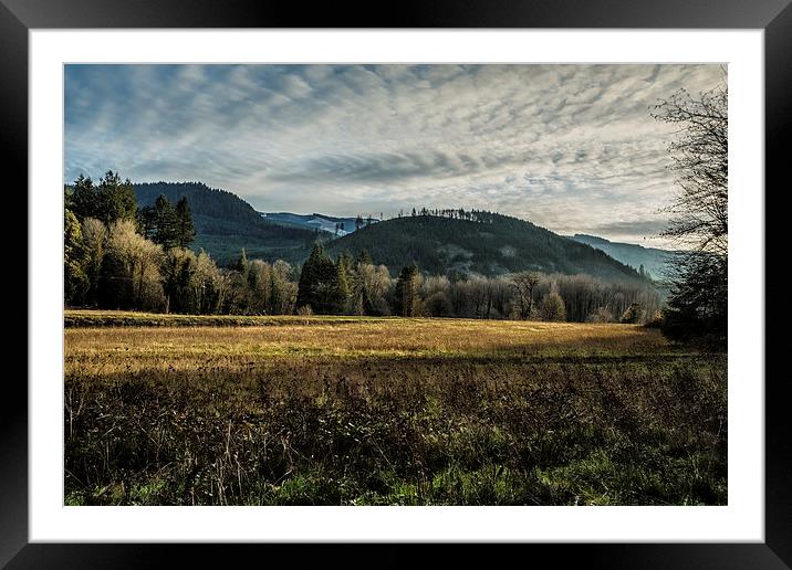 Sky - Field - Light and Trees - Some Here Some Gon Framed Mounted Print by Belinda Greb