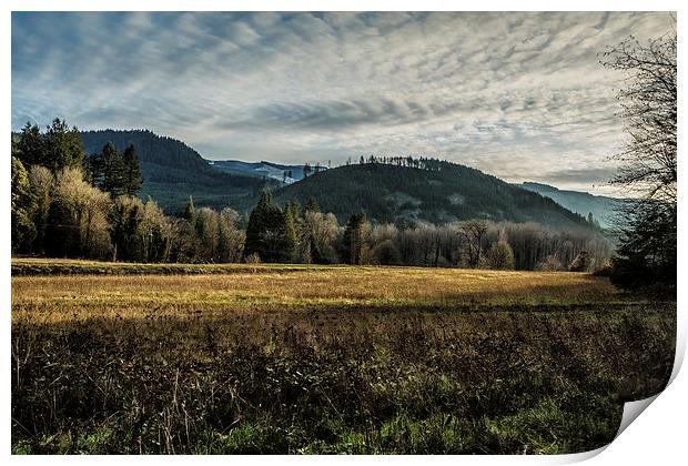 Sky - Field - Light and Trees - Some Here Some Gon Print by Belinda Greb
