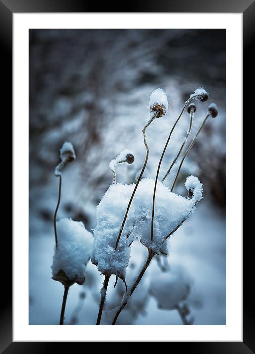 Snow Forms  Framed Mounted Print by Belinda Greb