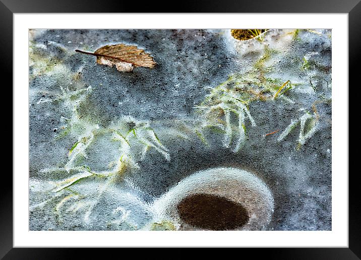  Beneath the Ice Framed Mounted Print by Belinda Greb