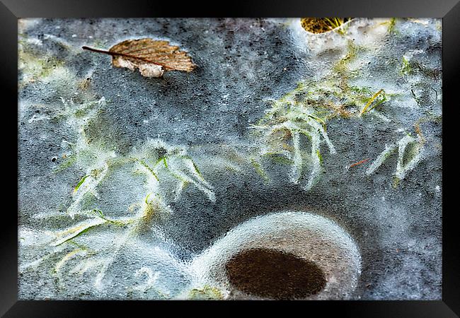  Beneath the Ice Framed Print by Belinda Greb