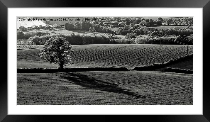  Tree and shadow Framed Mounted Print by Pete Hemington