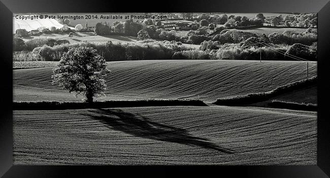  Tree and shadow Framed Print by Pete Hemington
