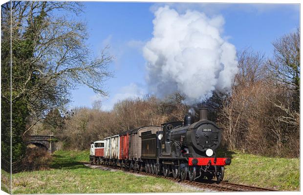  Purbeck Goods Train Canvas Print by Ian Duffield