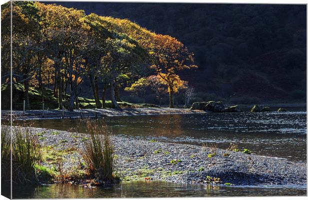  Backlit trees at Crummock Water Canvas Print by Ian Duffield
