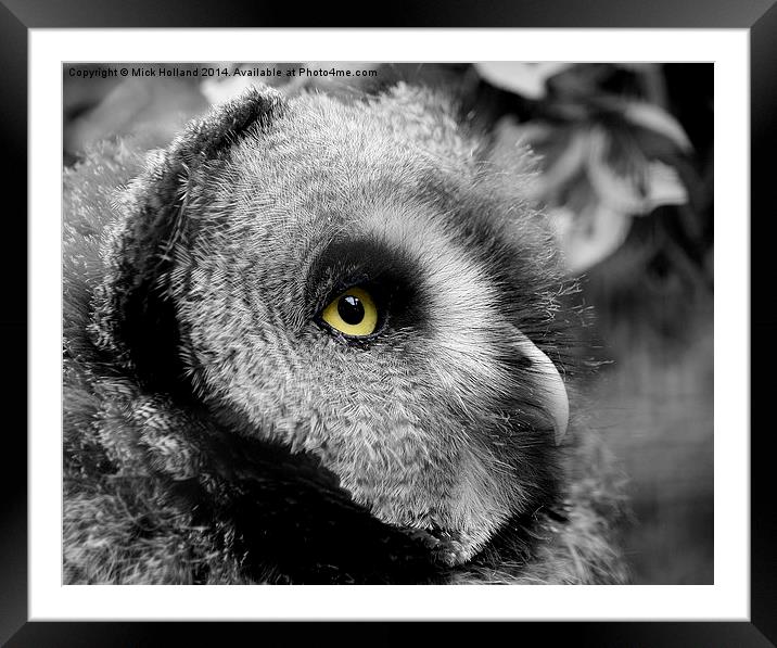  Moody Owl Framed Mounted Print by Mick Holland