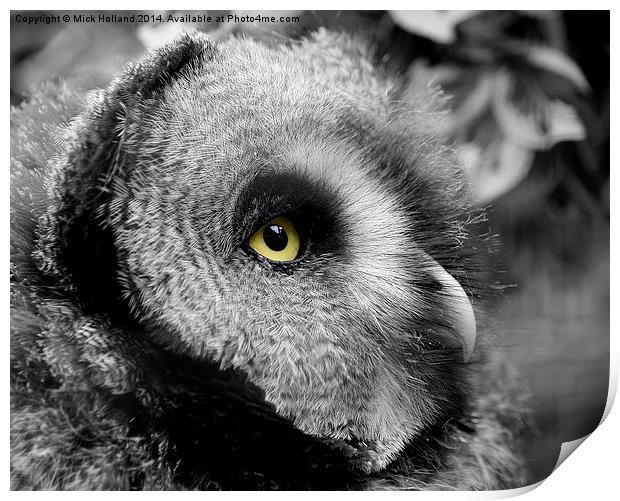  Moody Owl Print by Mick Holland