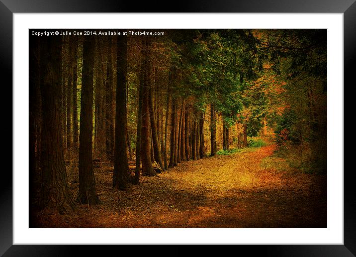Blickling Woods 14 Framed Mounted Print by Julie Coe