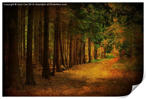 Blickling Woods 14 Print by Julie Coe