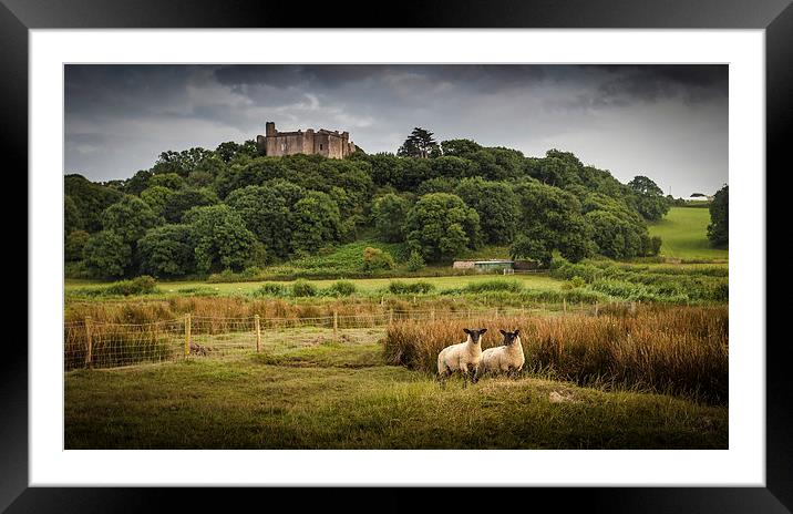  Sheep at Weobley castle Framed Mounted Print by Leighton Collins