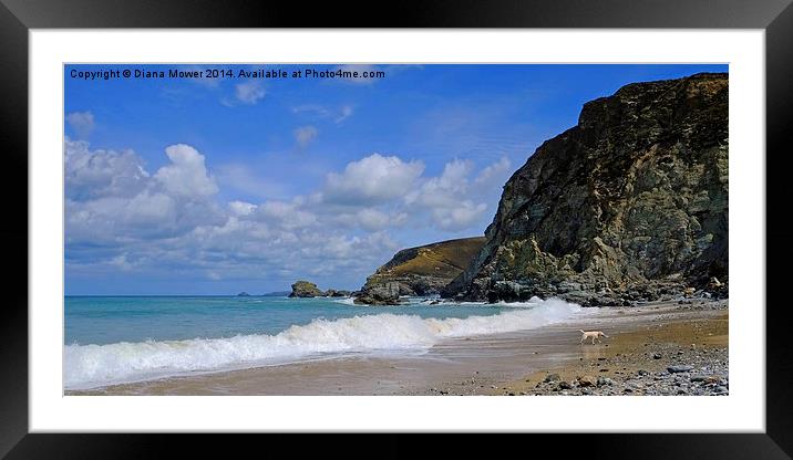  St Agnes Cornwall Framed Mounted Print by Diana Mower
