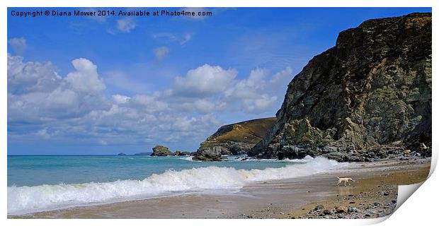 St Agnes Cornwall Print by Diana Mower