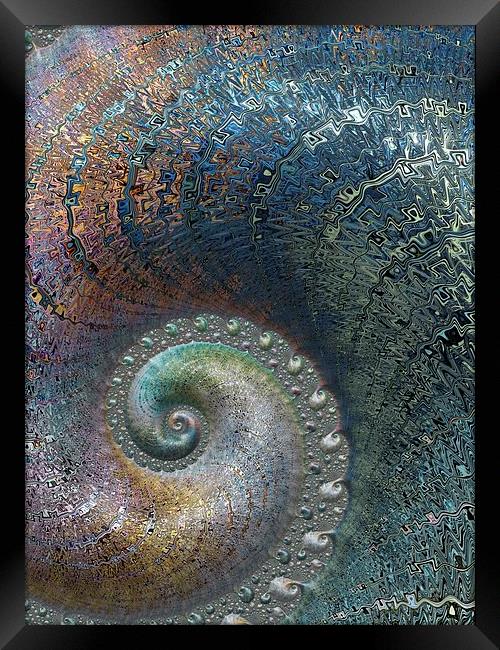  Spiral Fossil Framed Print by Amanda Moore