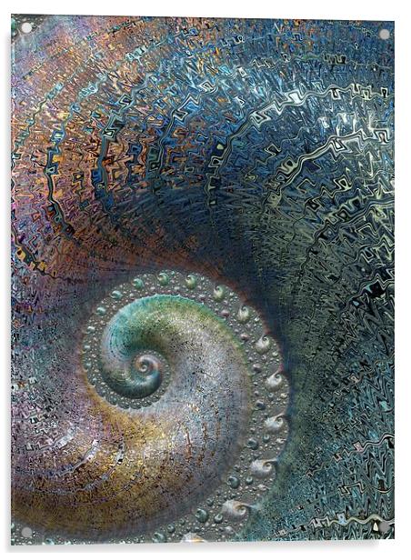  Spiral Fossil Acrylic by Amanda Moore