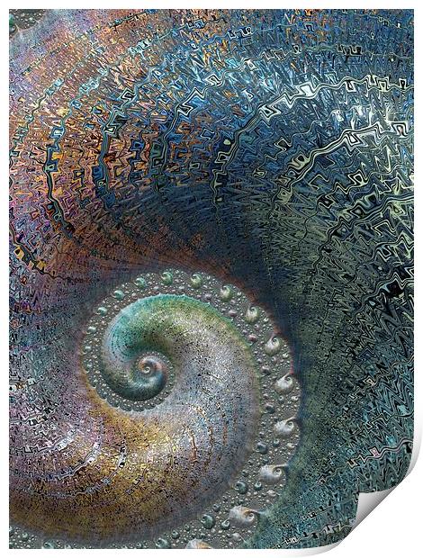  Spiral Fossil Print by Amanda Moore