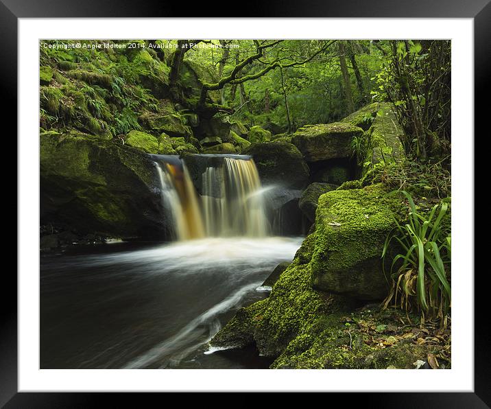 Burbage Brook Fall Framed Mounted Print by Angie Morton