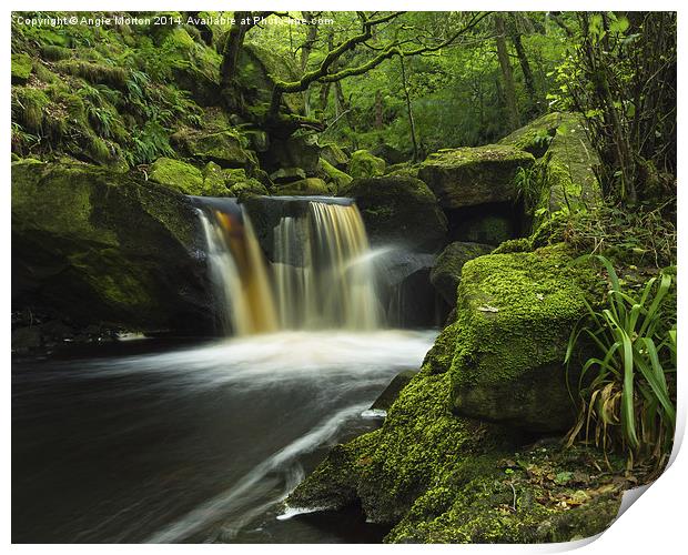 Burbage Brook Fall Print by Angie Morton