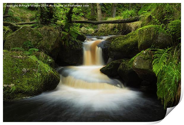 Burbage Brook Cascade Print by Angie Morton