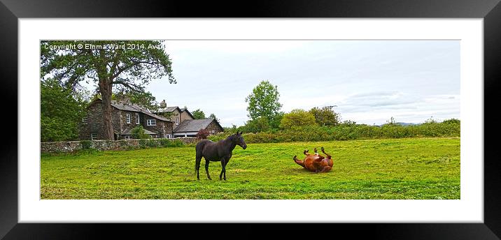 horsing around Framed Mounted Print by Emma Ward