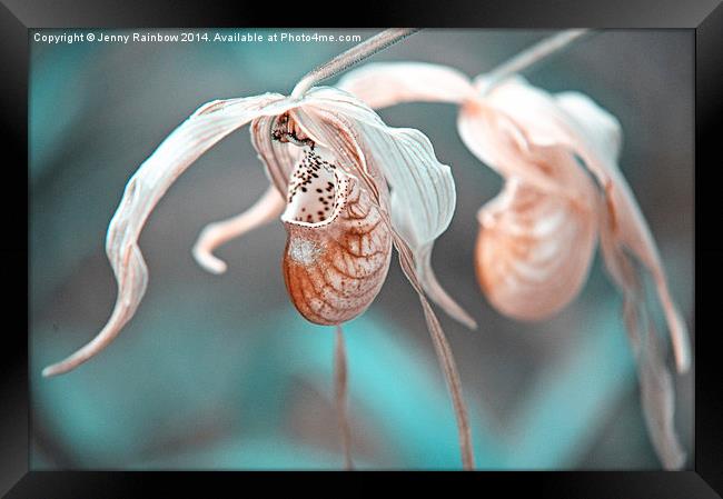  Exotic Beauty. Nature in Alien Skin  Framed Print by Jenny Rainbow