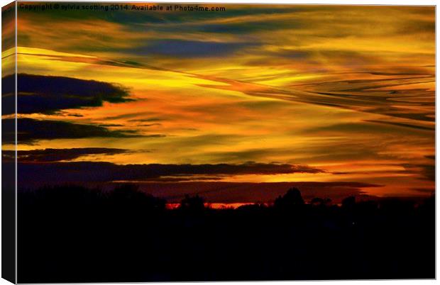  Stunning Sunset Canvas Print by sylvia scotting