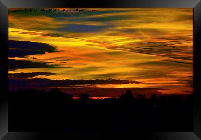  Stunning Sunset Framed Print by sylvia scotting