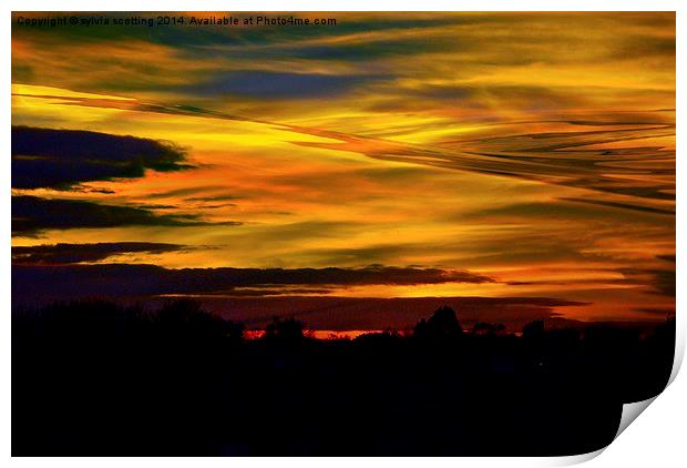  Stunning Sunset Print by sylvia scotting