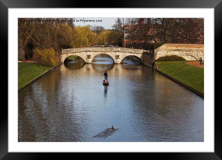  Punting on the Cam Framed Mounted Print by Ed Pettitt