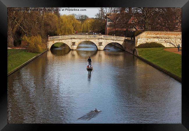  Punting on the Cam Framed Print by Ed Pettitt