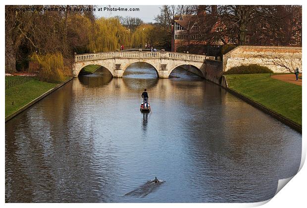 Punting on the Cam Print by Ed Pettitt