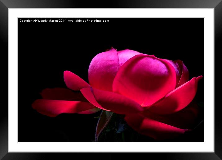  Flowers in the dark Framed Mounted Print by Wendy Mason