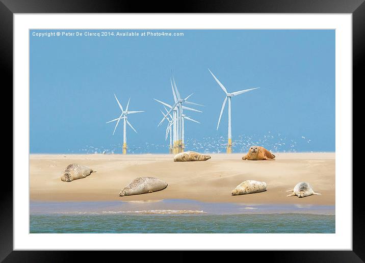  Seals at Scroby Sands Framed Mounted Print by Peter De Clercq