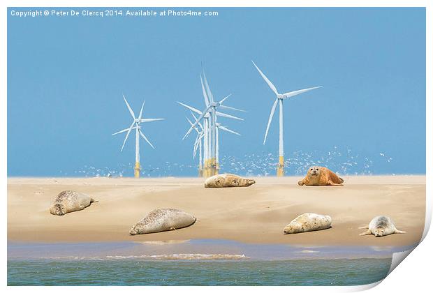  Seals at Scroby Sands Print by Peter De Clercq