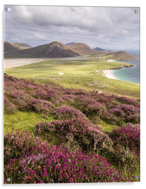 Heather View Acrylic by John Cropper