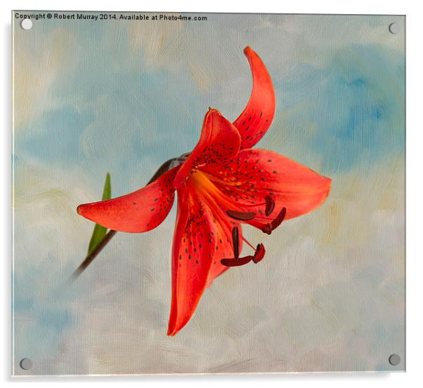  Lily in the Sky Acrylic by Robert Murray
