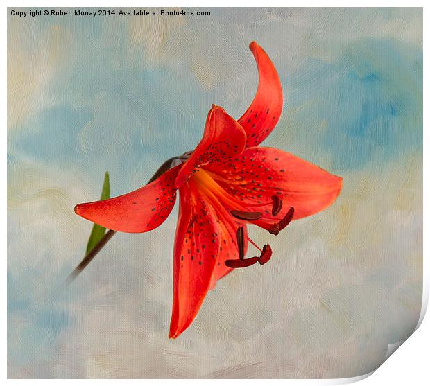  Lily in the Sky Print by Robert Murray