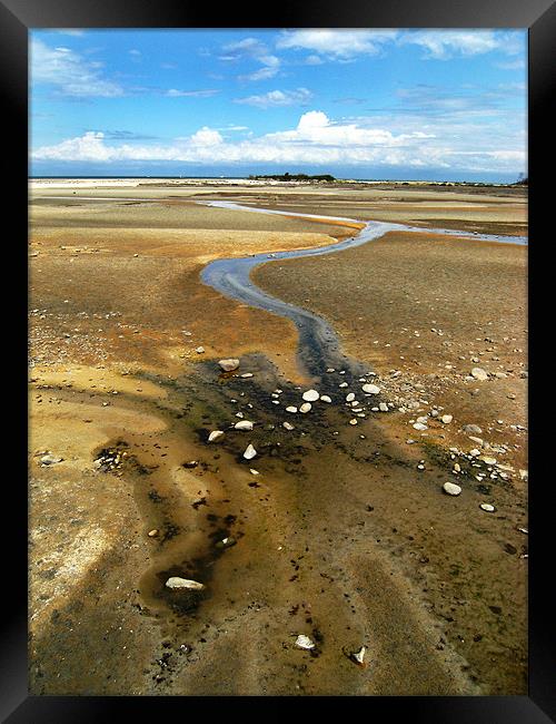 seascape Framed Print by timothy harris