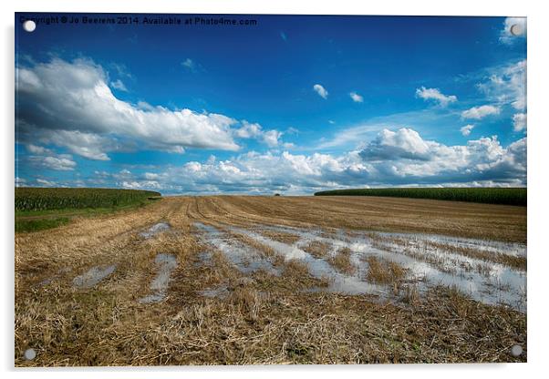 grain field Acrylic by Jo Beerens