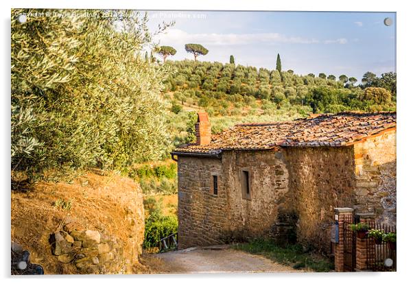  Tuscan Lane Acrylic by David Bradbury