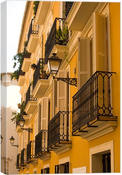 Valencia Balconies Canvas Print by Peter West