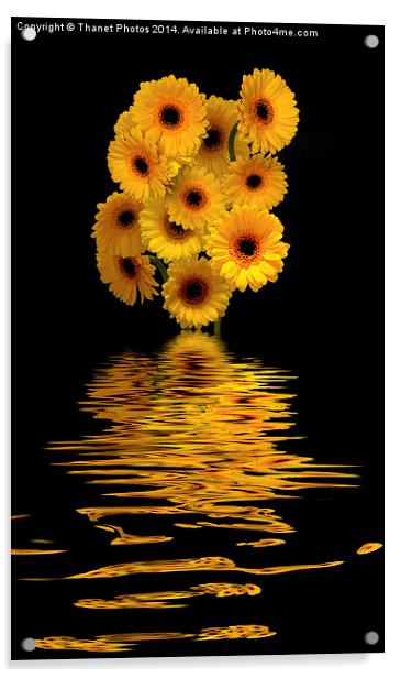 Yellow Gerberas        Acrylic by Thanet Photos