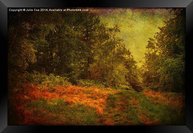 Blickling Woods 16 Framed Print by Julie Coe