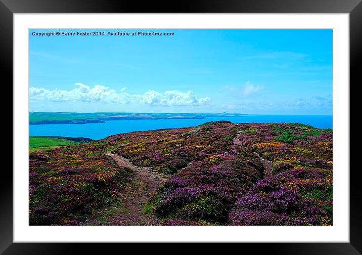  Penbwchdy, Pembrokeshire Framed Mounted Print by Barrie Foster