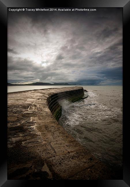 The Cobb Framed Print by Tracey Whitefoot
