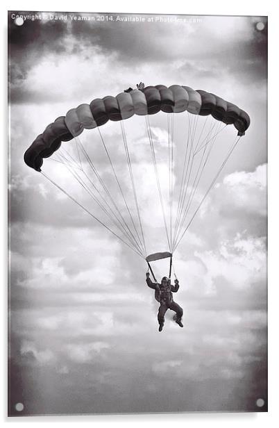  Solitary RAF Falcons Parachutist Acrylic by David Yeaman
